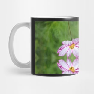 Reflect on your present blessings... Mug